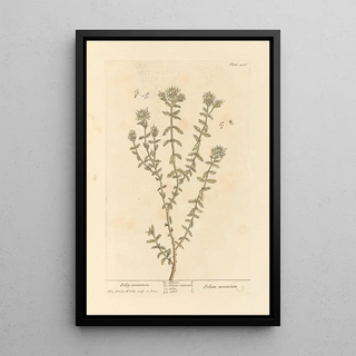 Mountain Pole Painting - Elizabeth Blackwell — framed artwork on a wall