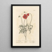 Poppy - Elizabeth Blackwell — framed artwork on a wall