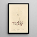 Rosa solis - Elizabeth Blackwell — framed artwork on a wall