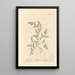 Herbe à la rupture - Elizabeth Blackwell — framed artwork on a wall