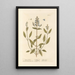 Sage of Virtue - Elizabeth Blackwell — framed artwork on a wall