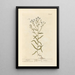 Achillée sternutatoire - Elizabeth Blackwell — framed artwork on a wall