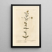 Millepertuis - Elizabeth Blackwell — framed artwork on a wall