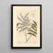 Sumac - Elizabeth Blackwell — framed artwork on a wall