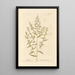 Estragon - Elizabeth Blackwell — framed artwork on a wall