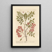 The Cormier - Elizabeth Blackwell — framed artwork on a wall