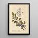 The Plum Tree - Elizabeth Blackwell — framed artwork on a wall