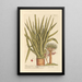 The Dragon Tree - Elizabeth Blackwell — framed artwork on a wall