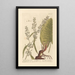 La grande patience - Elizabeth Blackwell — framed artwork on a wall