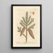 Le pin résineux - Elizabeth Blackwell — framed artwork on a wall