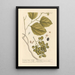 The Plum Tree Sebesten - Elizabeth Blackwell — framed artwork on a wall