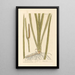 The true acore - Elizabeth Blackwell — framed artwork on a wall
