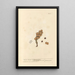 The True Oregano - Elizabeth Blackwell — framed artwork on a wall