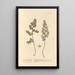 The True Capillary - Elizabeth Blackwell — framed artwork on a wall
