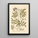 The Terebinth - Elizabeth Blackwell — framed artwork on a wall