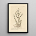 Mint Pouliot Standing - Elizabeth Blackwell — framed artwork on a wall