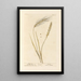 Wheat No.1 Wheat Barley No.2 - Elizabeth Blackwell — framed artwork on a wall