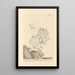 Coral White Painting - Elizabeth Blackwell — framed artwork on a wall
