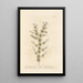White Guinea Fowl painting - Elizabeth Blackwell — framed artwork on a wall