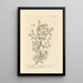 Rue sauvage - Elizabeth Blackwell — framed artwork on a wall