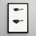 Synopsis of Australian birds and adjacent islands Pl03 - Elizabeth Gould — framed artwork on a wall