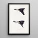 Synopsis of Australian Birds and Adjacent Islands Pl04 - Elizabeth Gould — framed artwork on a wall
