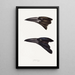 Synopsis of Australian Birds and Adjacent Islands Pl05 - Elizabeth Gould — framed artwork on a wall