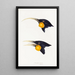 A synopsis of the birds of Australia and adjacent islands Pl11 - Elizabeth Gould — framed artwork on a wall