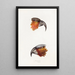 A synopsis of the birds of Australia and adjacent islands Pl12 - Elizabeth Gould — framed artwork on a wall
