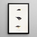 A synopsis of the birds of Australia and adjacent islands Pl17 - Elizabeth Gould — framed artwork on a wall