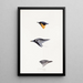 A synopsis of the birds of Australia and adjacent islands Pl20 - Elizabeth Gould — framed artwork on a wall
