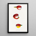 A synopsis of the birds of Australia and adjacent islands Pl24 - Elizabeth Gould — framed artwork on a wall