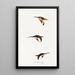 A synopsis of the birds of Australia and adjacent islands Pl27 - Elizabeth Gould — framed artwork on a wall