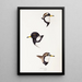 A synopsis of the birds of Australia and adjacent islands Pl32 - Elizabeth Gould — framed artwork on a wall