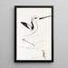 A synopsis of the birds of Australia and adjacent islands Pl34 - Elizabeth Gould — framed artwork on a wall