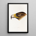 A synopsis of the birds of Australia and adjacent islands Pl38 - Elizabeth Gould — framed artwork on a wall