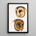 An overview of the birds of Australia and adjacent islands Pl51 - Elizabeth Gould — framed artwork on a wall