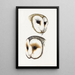 An overview of the birds of Australia and adjacent islands Pl52 - Elizabeth Gould — framed artwork on a wall