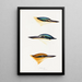 An overview of the birds of Australia and adjacent islands Pl53 - Elizabeth Gould — framed artwork on a wall