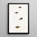 An overview of the birds of Australia and adjacent islands Pl58 - Elizabeth Gould — framed artwork on a wall