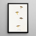 An overview of the birds of Australia and adjacent islands Pl59 - Elizabeth Gould — framed artwork on a wall