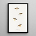 An overview of the birds of Australia and adjacent islands Pl60 - Elizabeth Gould — framed artwork on a wall