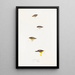 An overview of the birds of Australia and adjacent islands Pl61 - Elizabeth Gould — framed artwork on a wall