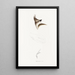 An overview of the birds of Australia and adjacent islands Pl63 - Elizabeth Gould — framed artwork on a wall