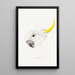 An overview of the birds of Australia and adjacent islands Pl64 - Elizabeth Gould — framed artwork on a wall