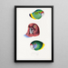 An overview of the birds of Australia and adjacent islands Pl66 - Elizabeth Gould — framed artwork on a wall