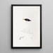 An overview of the birds of Australia and adjacent islands Pl71 - Elizabeth Gould — framed artwork on a wall