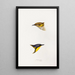 An overview of the birds of Australia and adjacent islands Pl72 - Elizabeth Gould — framed artwork on a wall