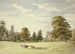 Cows in front of the manor and the church - Elizabeth Murray — artwork view