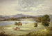 Cows in the Landscape - Elizabeth Murray — artwork view